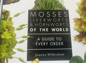 moss
